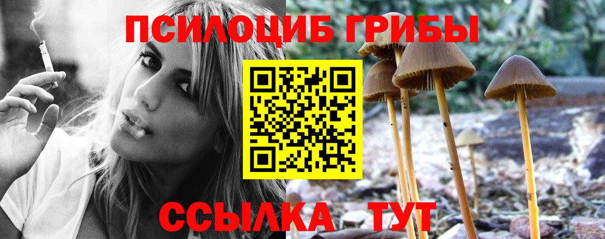 Псилоцибиновые грибы ЛСД Алексеевка